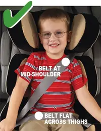New Child's Booster Seat Ratings (select to view enlarged photo)