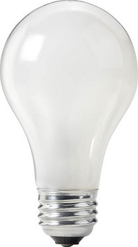 Light Bulb (select to view enlarged photo)