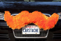 carstache (select to view enlarged photo)