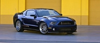 shelby (select to view enlarged photo)