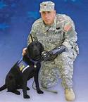 canine companion for veterans