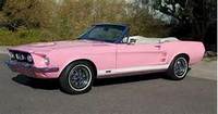 Pink mustang (select to view enlarged photo)