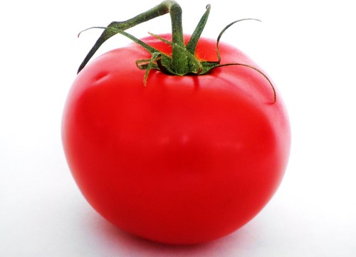 tomato (select to view enlarged photo)