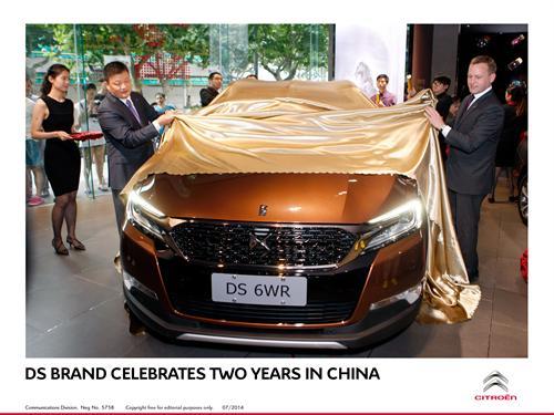 ds in china